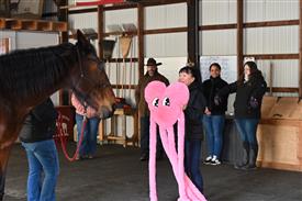 Photo Feb 15 2026, 10 34 21 AM